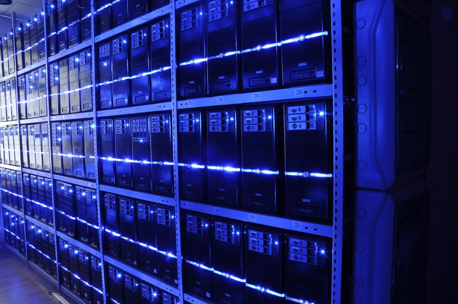 Rows of servers in a data center — the physical body of the internet