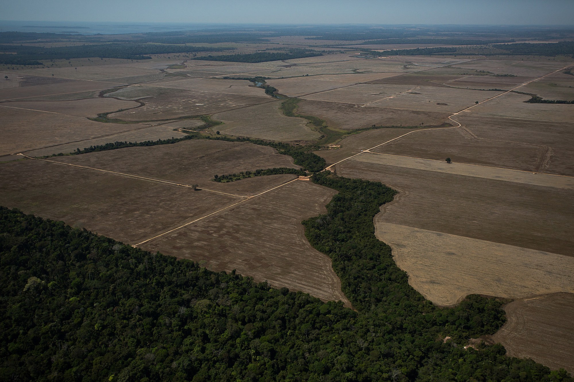 Aerial view of cleared farmland and surviving forest fragments in Rondônia, in the Brazilian Amazon