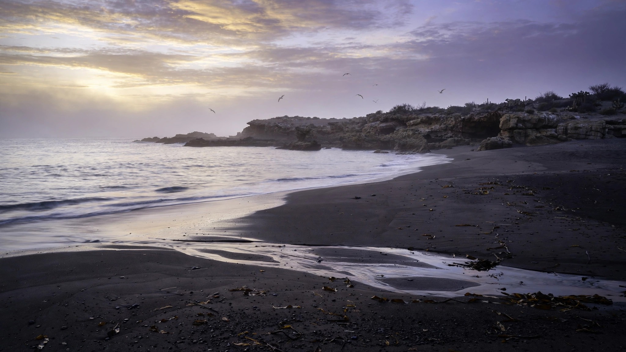A quiet secluded Pacific beach at dawn in Baja California, Mexico — empty shoreline, gentle surf and a rocky headland under a pale morning sky