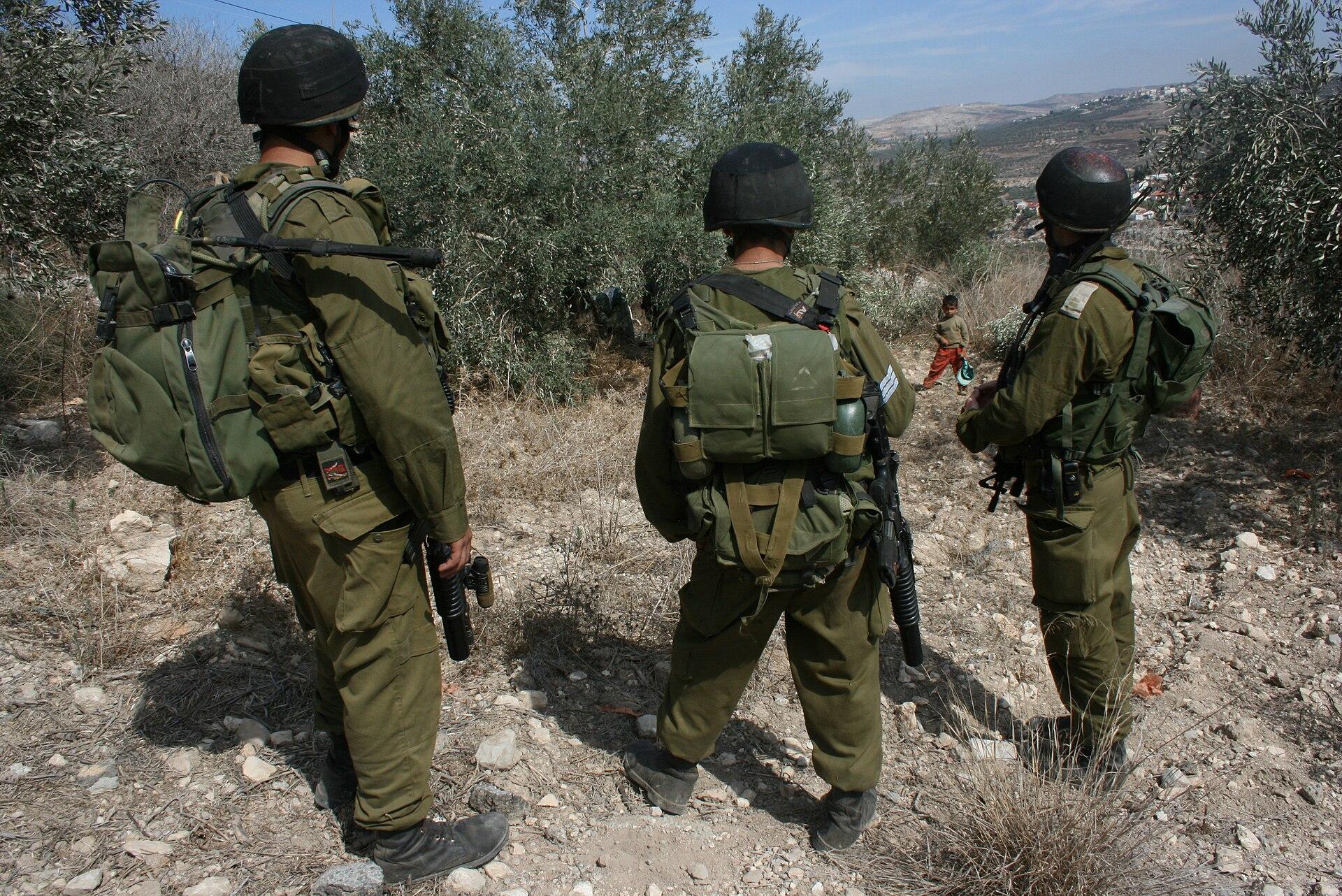 Israeli soldiers standing among olive trees in a West Bank grove during the Palestinian olive harvest